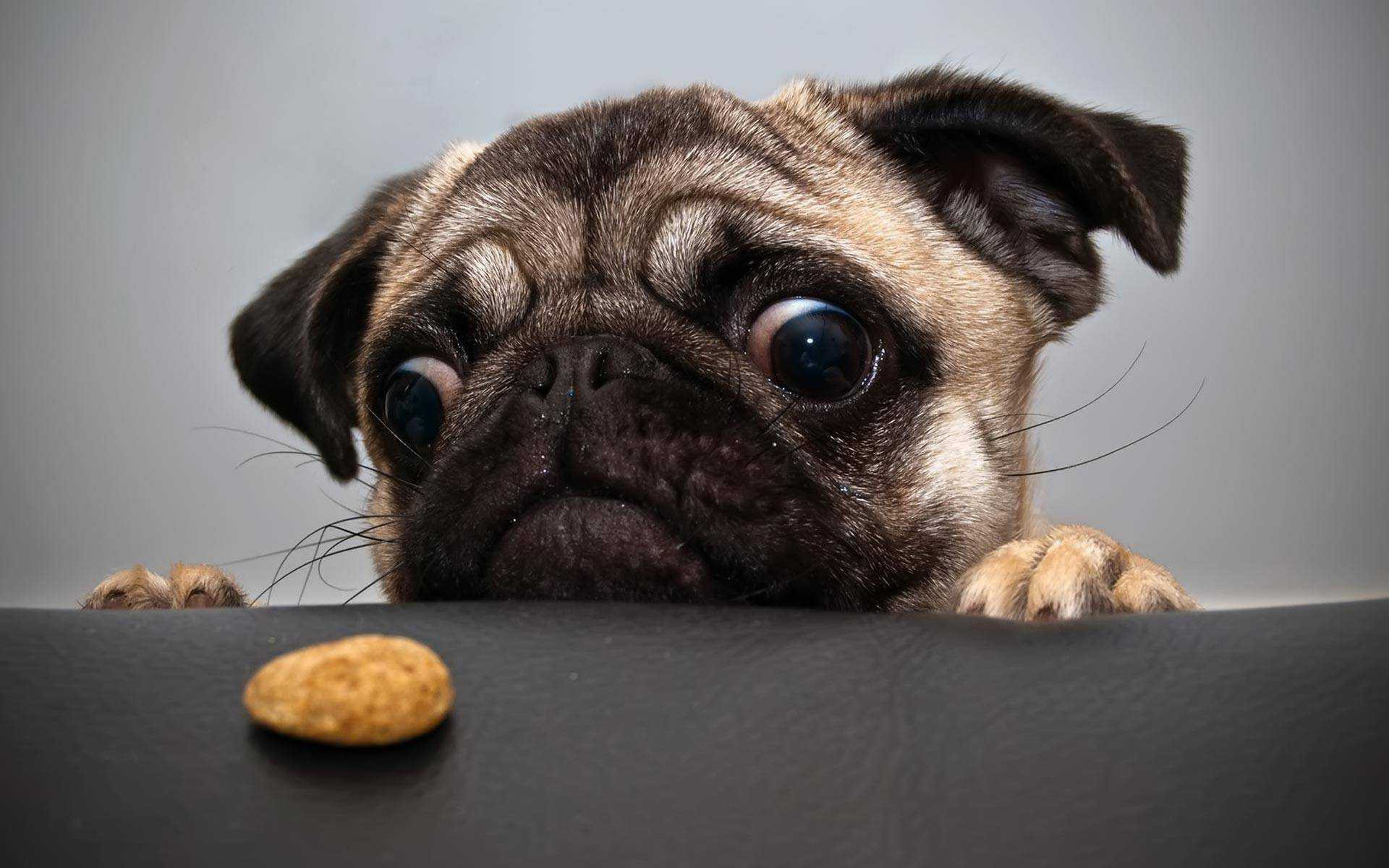 13 lí giải vì sao bạn chẳng bao giờ thành công