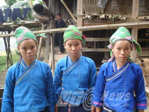 Những “bông hoa rừng” tội nghiệp 