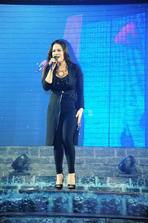 Kể từ sau khi có bầu, Nhật Kim Anh tạm hoãn các kế hoạch âm nhạc để chu toàn mái ấm gia đình. Xuất hiện tại một chương trình ca nhạc tại khu du lịch Long Điền Sơn, Tây Ninh, Nhật Kim Anh khiến nhiều người ngỡ ngàng với vóc dáng mảnh mai quyến rũ dù cô mới chỉ sinh con cách đây không lâu.