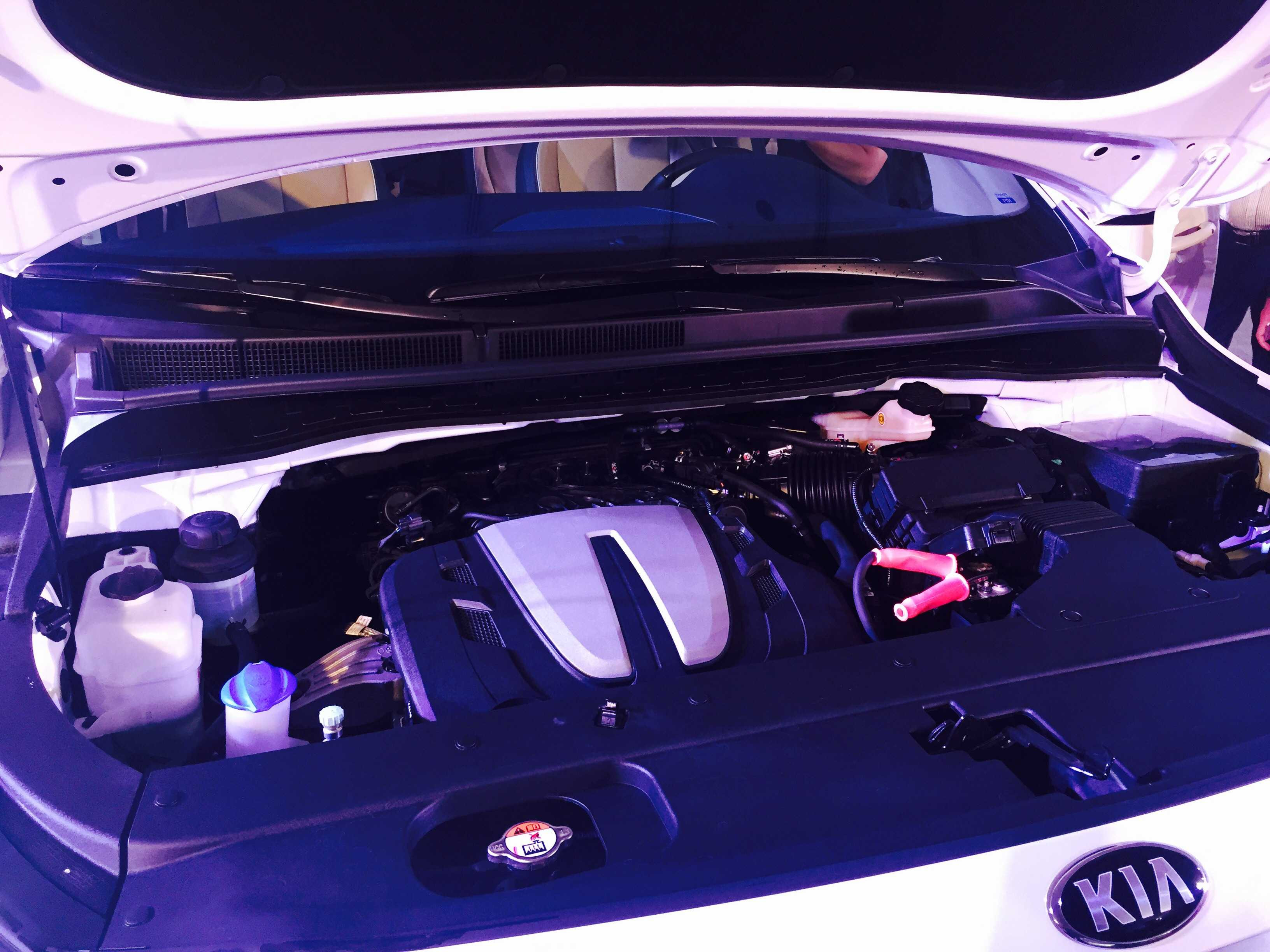 Tại Việt Nam, Kia Grand Sedona được sản xuất và phân phối theo 4 phiên bản máy xăng và máy dầu, cùng sử dụng hộp số tự động 6 cấp.