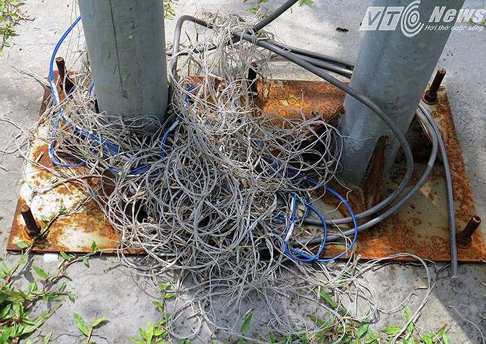 ... được người dân thu gọn lại vứt rải rác tại các gốc cây, cột sắt bên đường.