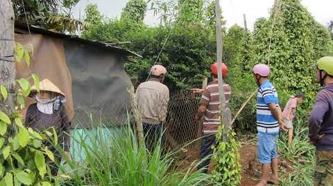 Đi trộm vịt, nam thanh niên bị điện giật tử vong