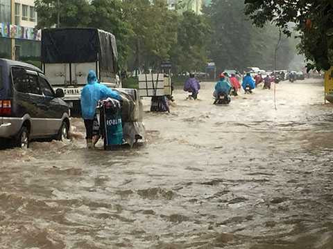 Sau cơn mưa lớn, đường Hoàng Minh Giám ngập sâu trong nước.