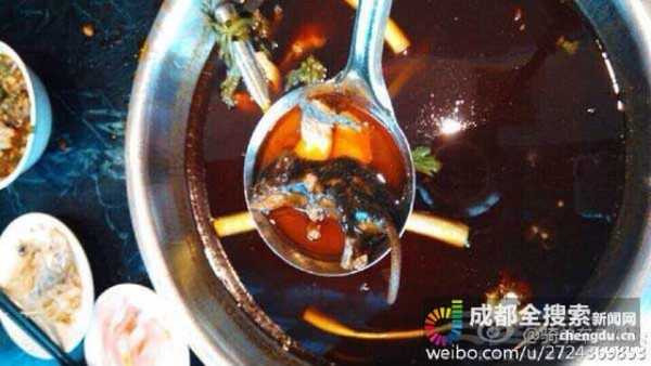 Con chuột chết trong nồi lẩu bị thực khách tố lên mạng.