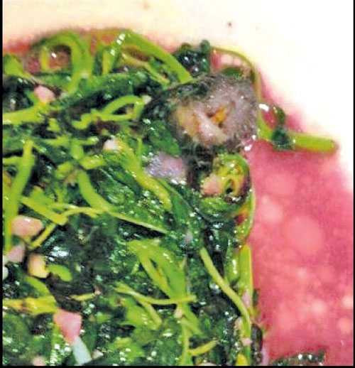 Chuột chết trong đĩa rau do ông Zhang chụp lại bằng điện thoại di động