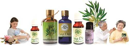 Là sản phẩm nhỏ nhưng dầu tràm Cung Đình mang đến công dụng và lợi ích không nhỏ cho sức khỏe và vẻ đẹp con người