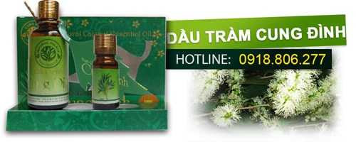 Ông chủ dầu tràm Cung Đình quyết gây dựng lại thương hiệu trên quê hương