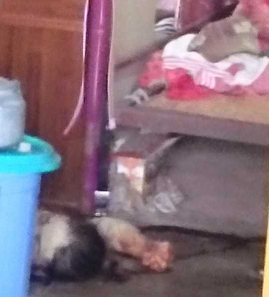 Nơi 3 nạn nhân tử vong