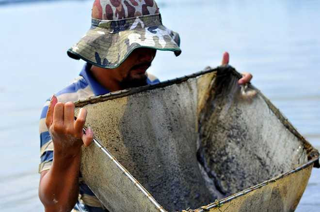 Ông Nguyễn Văn Thạnh (50 tuổi, ngụ phường Tân Mai, TP Biên Hòa) cho biết, trước đây hành nghề đánh cá trên sông Đồng Nai. Những năm gần đây, thu nhập từ việc chài lưới không đủ nuôi sống gia đình nên ông chuyển sang nghề đãi trùn chỉ. Ông nói: Nghề cực nhọc và tiếp xúc nước bẩn liên tục, nhưng nếu không làm thì lấy gì ăn. Năm nay​ nhiều người đổ về sông đãi trùn nhiều nên việc này không còn thuận lợi như những năm trước. 