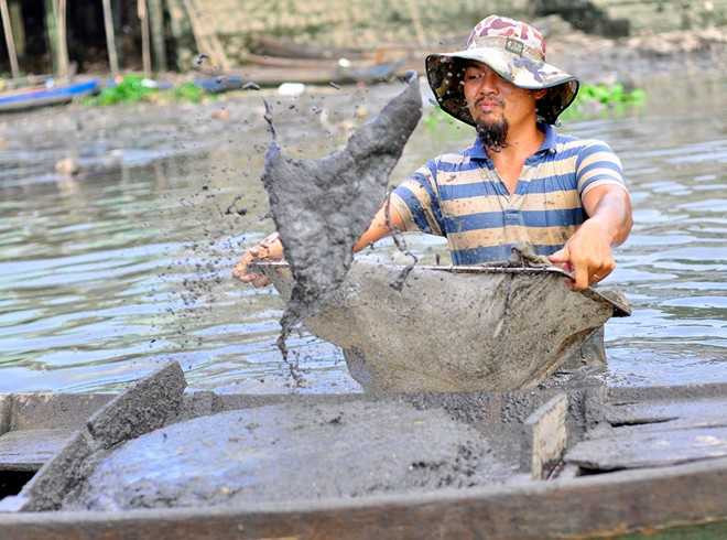 Nghề vất vả, phải tiếp xúc với nước bẩn nhưng ngư dân vẫn gắn bó và làm việc chăm chỉ để kiếm tiền nuôi gia đình. Bất kể nắng mưa, ngày đêm, mỗi khi thủy triều rút, họ lại say sưa với nghề.