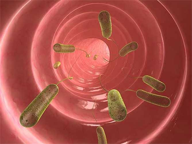 Ký sinh trùng đường ruột có nguy hiểm không? Ký sinh trùng đường ruột ăn thực phẩm chúng ta ăn và và chúng bám vào ruột. Các axit trong dạ dày của chúng ta không thể giết chết các ký sinh trùng. Cơ thể chúng ta cũng chiến đấu để chống lại các ký sinh trùng thông qua hệ miễn dịch để chống lại viêm nhiễm do kí sinh trùng gây ra.