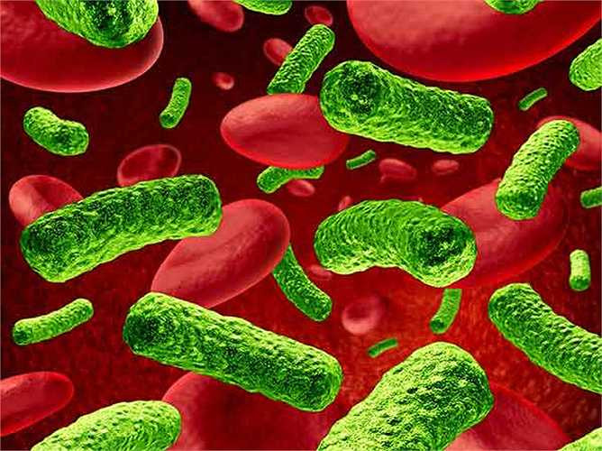 Dấu hiệu nhận biết là gì? Đó là giảm cân, đau bụng, buồn nôn và nôn, ngứa quanh trực tràng và bộ phận khác, phát ban da, kích ứng da, rối loạn giấc ngủ, có máu trong phân, táo bón, tiêu chảy, lo lắng và trầm cảm, đầy hơi, hội chứng ruột kích thích (IBS), đau cơ, đau khớp, thiếu máu, mệt mỏi và kiệt sức, dao động đường huyết, giảm ham muốn tình dục, hay bị nhiễm khuẩn, nấm hoặc nhiễm virus. 