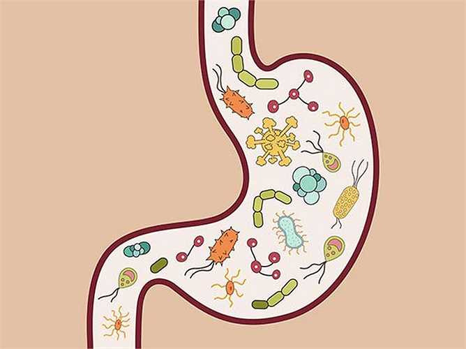 Bệnh này chỉ có ở các nước kém phát triển? Ký sinh trùng đường ruột không chỉ xảy ra ở các nước kém phát triển mà cả ở các nước phát triển. Tuy nhiên ở các nước phát triển bệnh này được quản lý một cách hiệu quả hơn các nước kém phát triển. Theo WHO, khoảng 3 tỷ người trên thế giới bị ký sinh trùng đường ruột. 