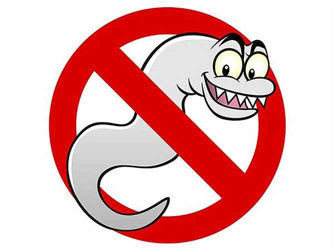 Các loại thảo mộc trị ký sinh trùng? Các thảo dược có thể trị nhiễm ký sinh trùng đường ruột là bạc hà, đinh hương, oregano, tỏi, hải cẩu vàng, hồi, nho oregon và cây ngải. Tuy nhiên, cũng nên tham khảo ý kiến bác sĩ trước khi sử dụng phương pháp điều trị bằng thảo dược. 