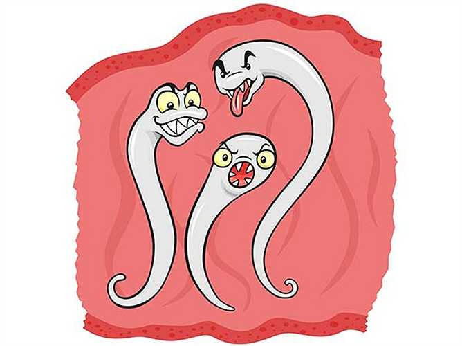 Chúng ta có thể tự sử dụng thuốc? Bạn có thể đi thử nghiệm phân, nếu bạn nghi ngờ nhiễm ký sinh trùng đường ruột. Lúc đó, bạn phải uống thuốc theo kê toa là cách điều trị hiệu quả nhất đối với bệnh nhiễm kí sinh trùng. 