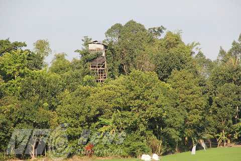 Cồng trình kỳ lạ ở ấp An Bình