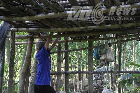 Lâu đài kỳ lạ không có thang, để lên đươc, chỉ còn cách bám vào mấy cây nứa và trèo