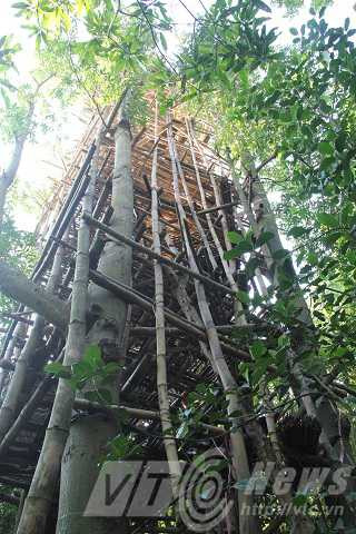 Lâu đài được dựng dựa trên 4 cây gòn được cụ Dương trồng cách đây hơn 40 năm