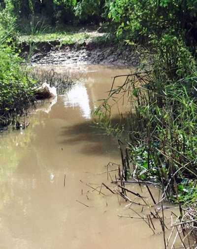 Kênh Sáu Bèo nơi phát hiện thi thể nạn nhân. Ảnh: A.X