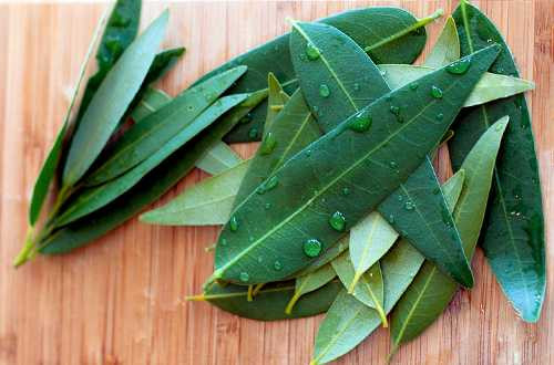 Loại bỏ u biến dạng ở khớp ngón chân cái