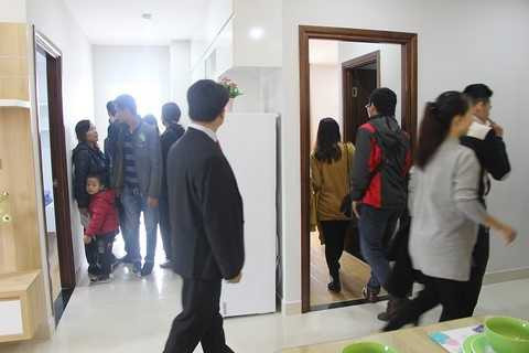 … và “mãn nhãn” khi được lên thăm quan.