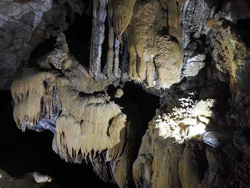 Một số măng nhũ đá trong một hang mới phát hiện tại sườn Đông Bắc đảo Bồ Hòn