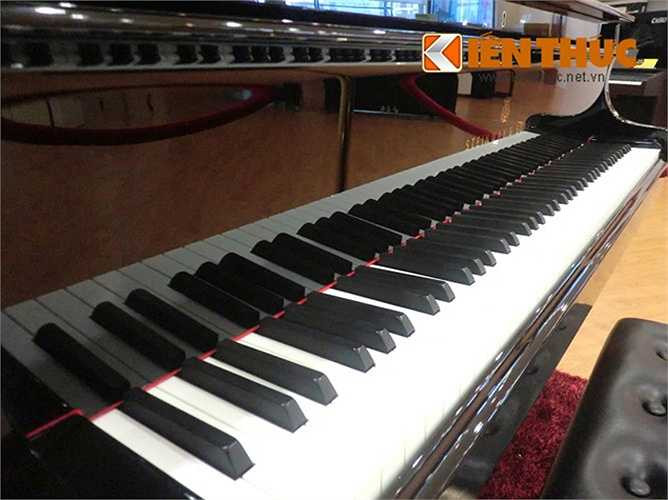 Các búa gõ của đàn phía trên và dưới đều được bọc len cừu cao cấp, được xử lý để chống lại côn trùng và độ ẩm. Dây đàn được làm từ thép cao cấp của Thụy Điển. 