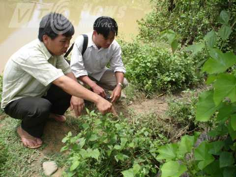 Anh Pâng chỉ chỗ từng có dấu chân hổ