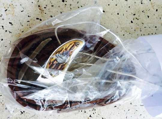 Đồ nghê dùng ma túy, dây kẽm, dao... công an thu giữ tại hiện trường. Đồ nghê dùng ma túy, dây kẽm, dao... công an thu giữ tại hiện trường.