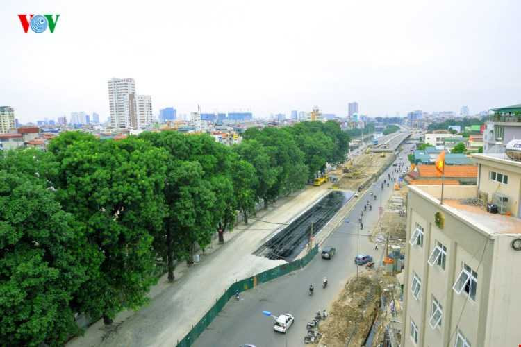 Từ ngày 29/11, Công ty TNHH Một thành viên Công viên cây xanh Hà Nội sẽ tiến hành chặt một số cây xà cừ lâu năm trên đoạn đường Láng - Bưởi nhằm phục vụ công trình xây dựng tuyến đường Vành đai 2 đoạn nối từ Cầu Giấy đến Nhật Tân.