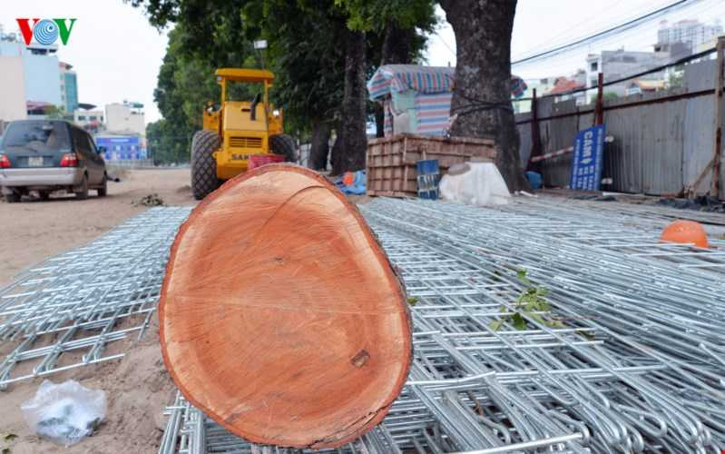 Những thớ gỗ vẫn còn vương vãi, chưa kịp thu dọn.