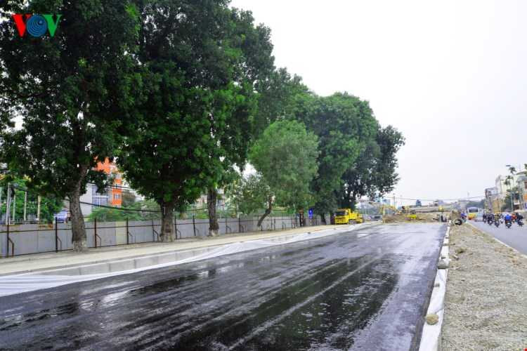 Hình ảnh cuối cùng hàng xà cừ cổ thụ tuyệt đẹp trên đường Láng