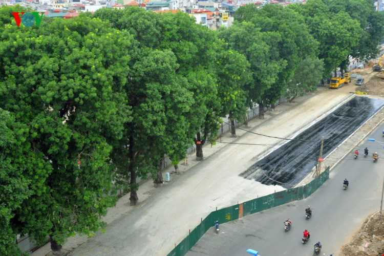 Chỉ ít ngày nữa, gần 30 gốc xà cừ lâu năm sẽ bị xóa sổ trên tuyến đường Láng - Bưởi.