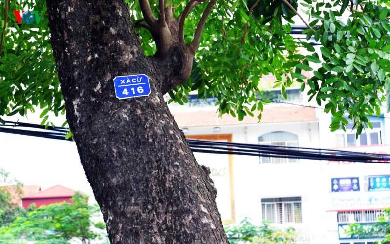 ... nhằm bảo đảm đúng tiến độ thi công công trình đường vành đai 2 đoạn Nhật Tân - Cầu Giấy cho kịp thời gian thông xe tuyến chính trước Tết Nguyên đán Bính Thân - 2016.