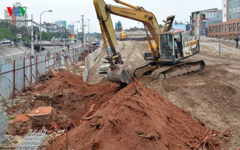 Những cây xà cừ lâu năm, gốc rễ đã bám sâu, chặt vào đất. Việc nhổ triệt để một gốc mất khá nhiều thời gian và cần tới máy xúc.