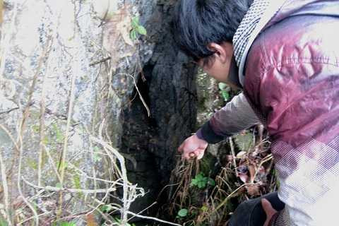 Khe núi dẫn vào hang giấu vàng