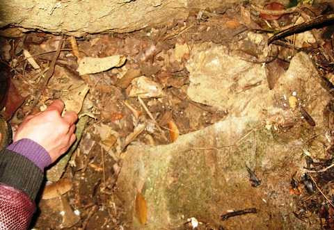 Trong hang có rất nhiều xương người