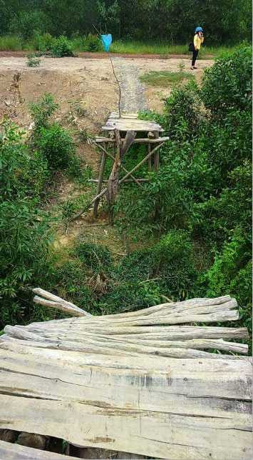 Hình ảnh cây cầu được cô Hải Âu đăng lên Facebook Hình ảnh cây cầu được cô Hải Âu đăng lên Facebook