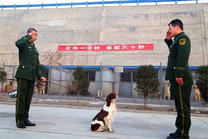 Zhang đã xuất ngũ sau khi hoàn thành thời gian nghĩa vụ quân sự của mình