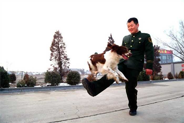 Zhang và chú chó Maomao vui đùa với nhau khi còn luyện tập