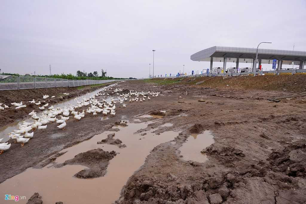 Toàn tuyến được lắp đặt hệ thống hàng rào mắt cáo nhằm ngăn trâu bò và người dân đi xe đạp có thể gây nguy hiểm.