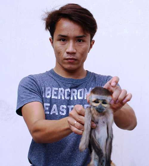 Một voọc con quý hiếm bị Khoa rao bán - Ảnh: C.C. Một voọc con quý hiếm bị Khoa rao bán - Ảnh: C.C.