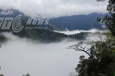 Rừng già bao quanh bản Tốc Tát Trên Rừng già bao quanh bản Tốc Tát Trên