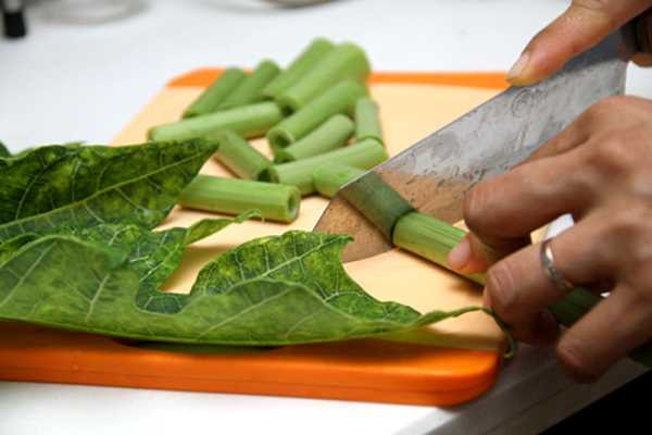 Thêm một cơ hội sống cho bệnh nhân ung thư với lá đu đủ