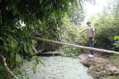 Hang nước mang nhiều câu chuyện kỳ lạ và huyền bí. Hang nước mang nhiều câu chuyện kỳ lạ và huyền bí.