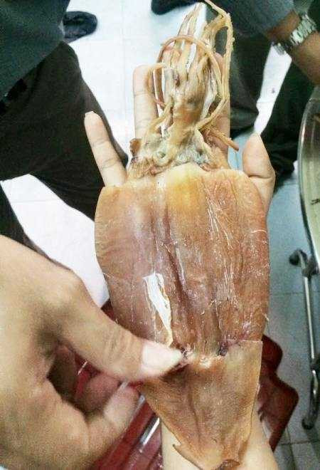 làm giả khô mực