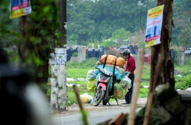 Nhiều người bán cho các lái buôn rau để mang đi bán tại các chợ trong khu vực nội thành.