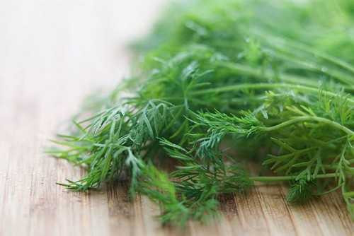 Tuyệt chiêu để có "ngực tấn công, hông quả táo" tự tin đón Tết