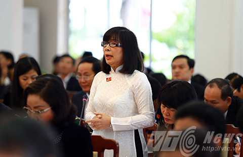 Đà Nẵng, HĐND, xây cầu mới, trên sông Hàn, cử tri, chất vấn