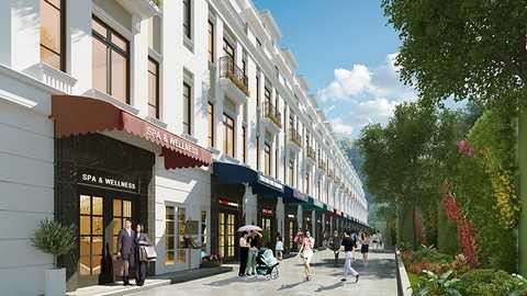 Khu vườn đứng độc đáo tại dãy Phú Gia - 02